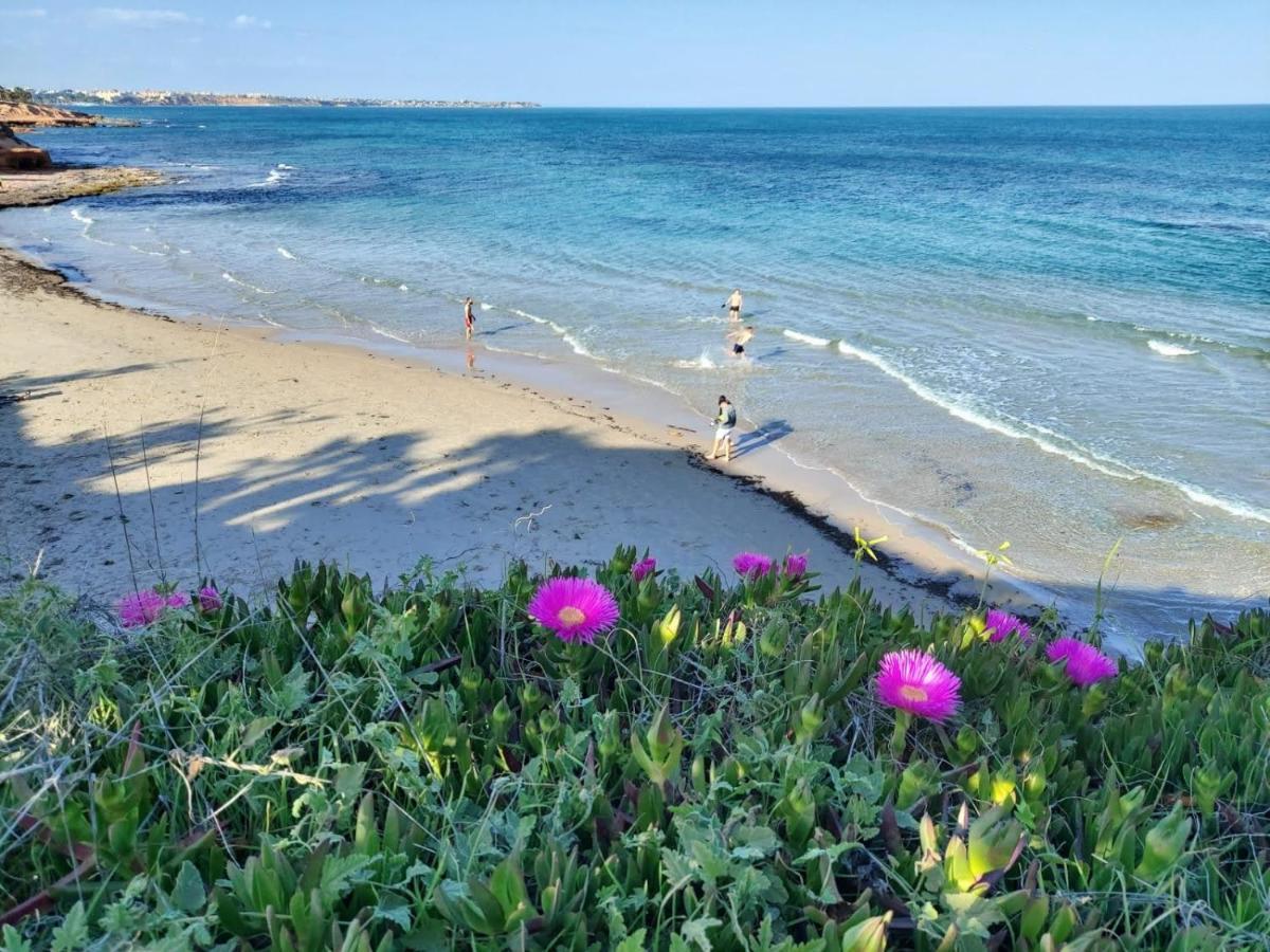 El Apartamento De Papa - Mil Palmeras Dehesa de Campoamor  ภายนอก รูปภาพ